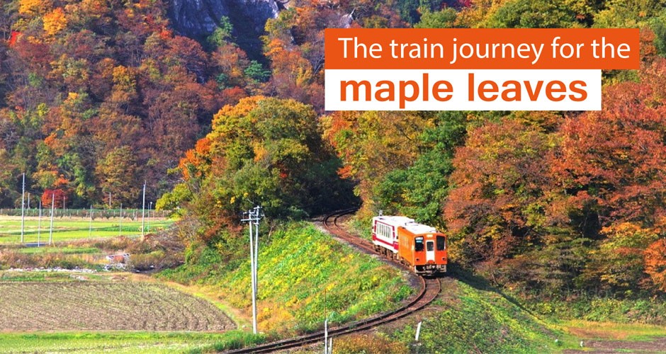 The train journey for the maple leaves~